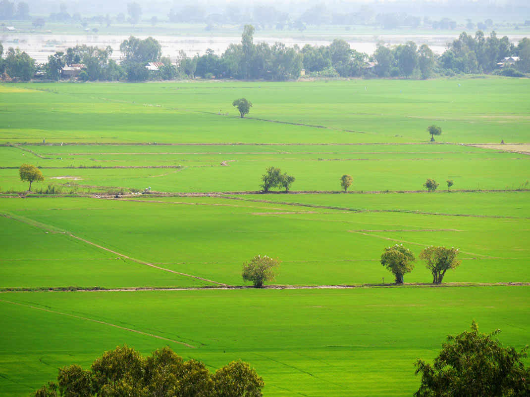 Von den Hügeln in der Region Angkor Borei hat man fantastische Ausblicke in die Landschaft, Region Takeo, Kambodscha (Foto Jörg Schwarz)