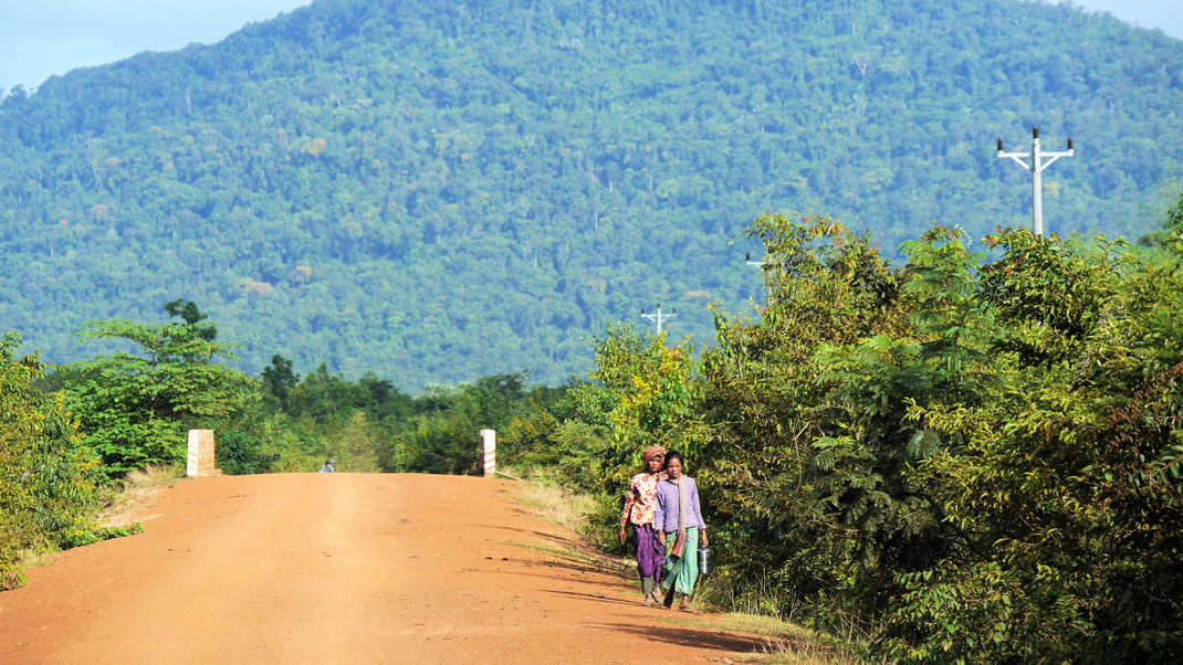 Was idyllisch wirkt und aussieht ist natürlich ein Leben voll harter Landarbeit... Region Preah Vihear, Kambodscha  (Foto Jörg Schwarz)