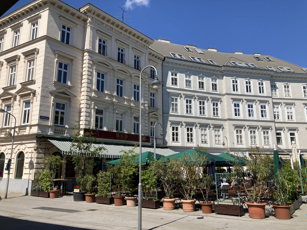 Österreich Wien Donau Fotographie Reiseblog Reisereportage Spurenwechsler Reise Urlaub Städtetrip Geheimtipp slow travel Backpacker