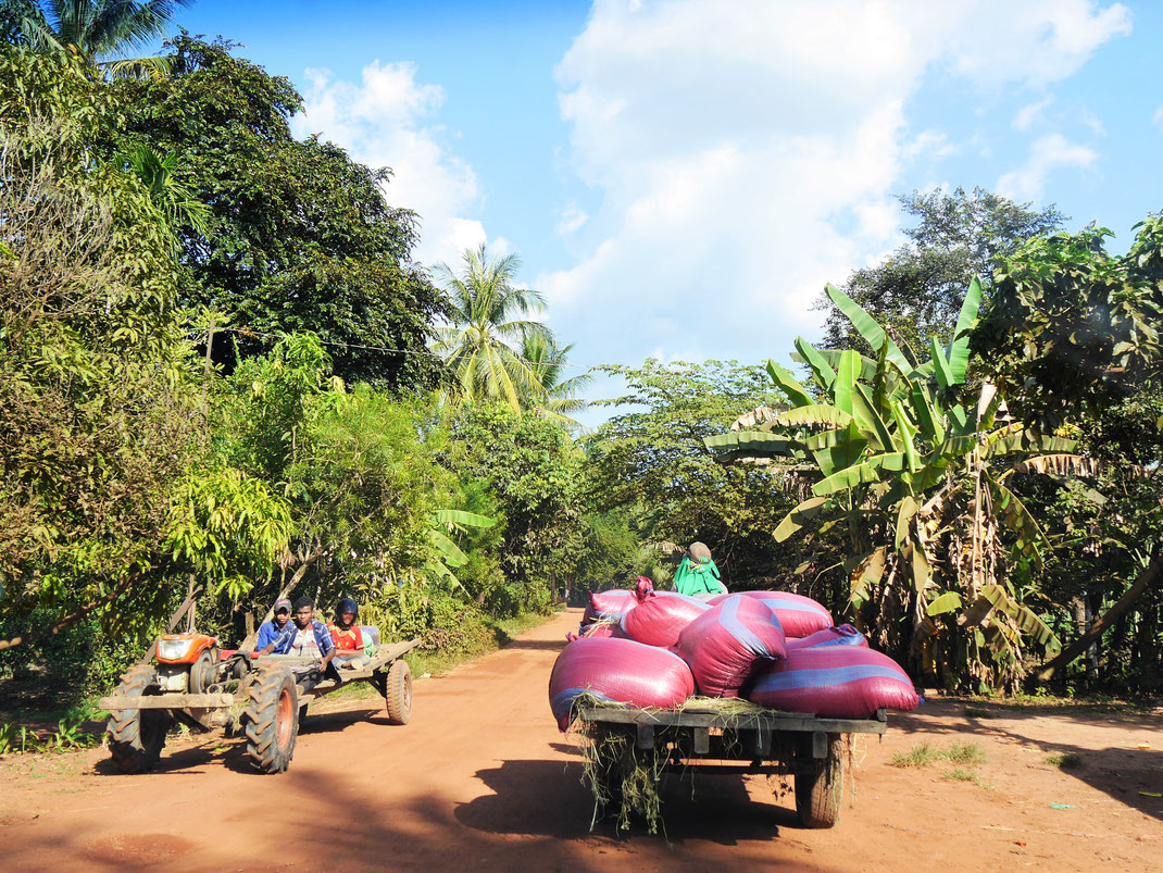 Wer das echte Kambodscha abseits der Sehenswürdigkeiten sehen aber auf letztere gleichwohl nicht verzichten möchte, der sollte sich in der Region Preah Vihear umsehen... Kambodscha (Foto Jörg Schwarz)