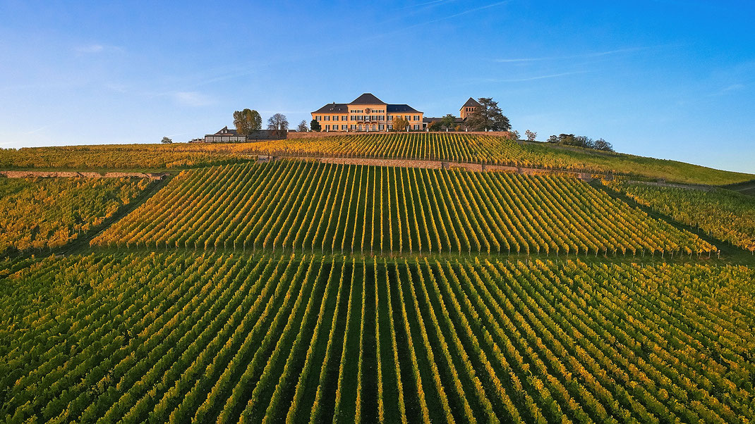 Schloss Johannisberg/Rheingau (© Christian Düringer)