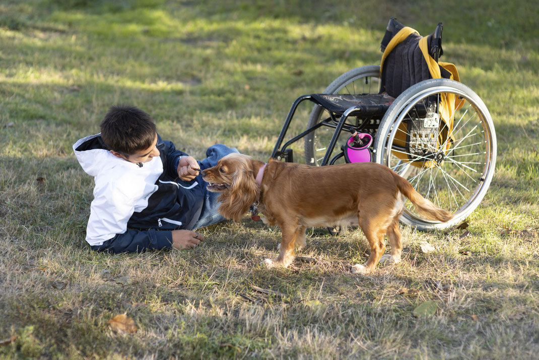 Junger Mann liegt im Gras und spielt fröhlich mit seinem braunen Hund – neben ihm steht ein Rollstuhl mit Trinkflasche und Jacke, Szene voller Nähe und Lebensfreude.