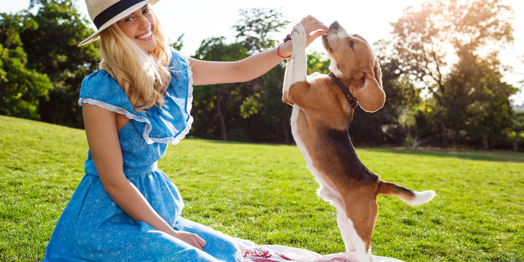 Lächelnde Frau im blauen Kleid mit Hut sitzt auf einer Picknickdecke und spielt mit einem Beagle im Park.