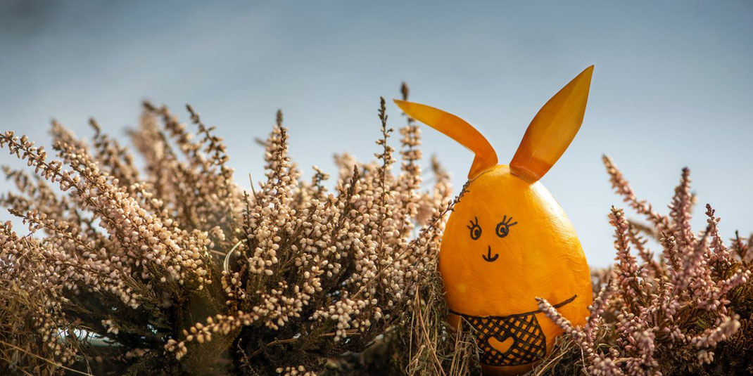 Dekoriertes Osterei in Form eines Osterhasen sitzt zwischen trockenen Zweigen