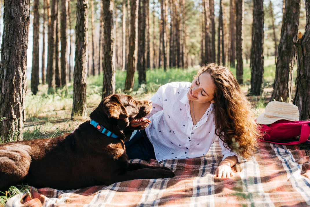 Frau liegt auf einer Decke im Wald und lächelt ihren braunen Labrador an, der neben ihr liegt.