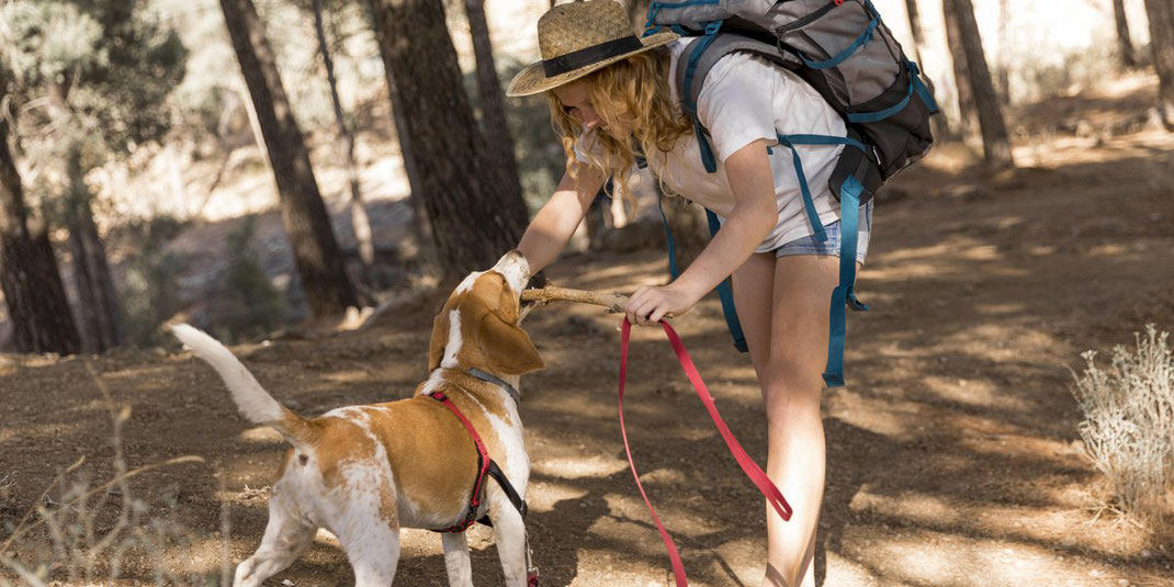 Frau mit Rucksack und Strohhut spielt im Wald mit ihrem Hund, der an einem Stock zieht.