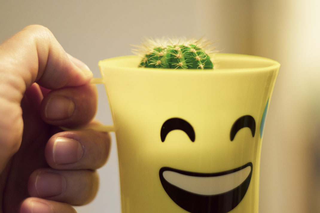 Hand hält einen gelben Becher mit lachendem Gesicht, aus dem ein kleiner Kaktus herausragt – humorvolle Kombination aus Alltagsgegenstand und Pflanze.