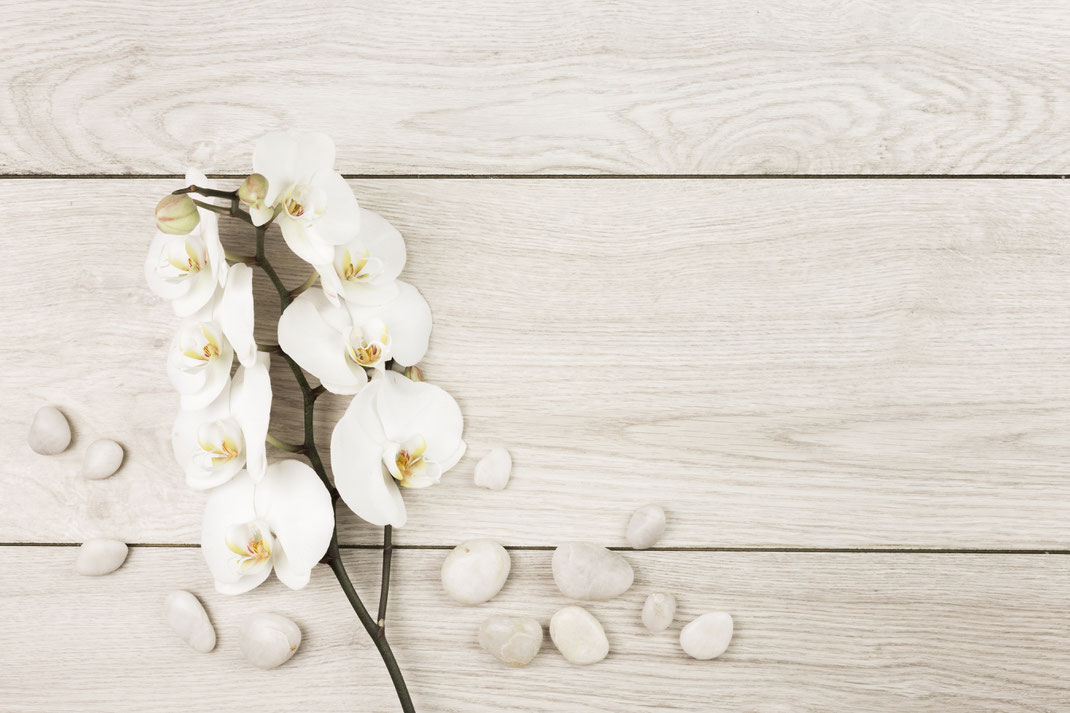 Weiße Orchidee mit Dekosteinen auf heller Holzoberfläche – natürliche Spa-Ästhetik, Ruhe und Balance für Wellnessmomente