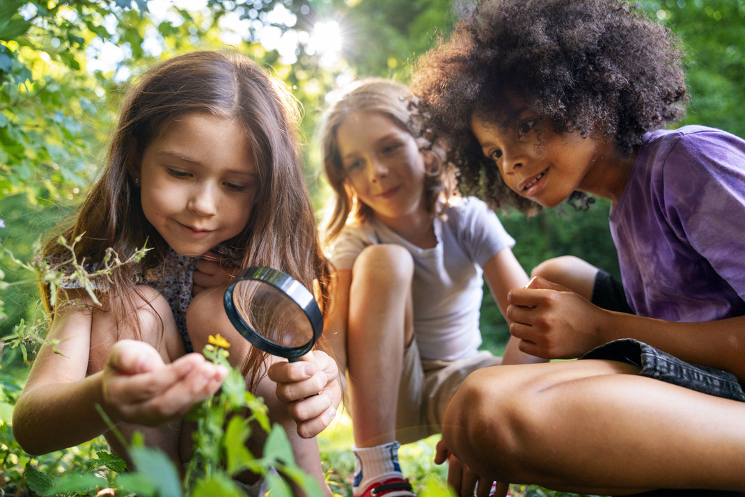 Drei Kinder betrachten draußen neugierig eine Blume mit einer Lupe während eines Naturerlebnisses.