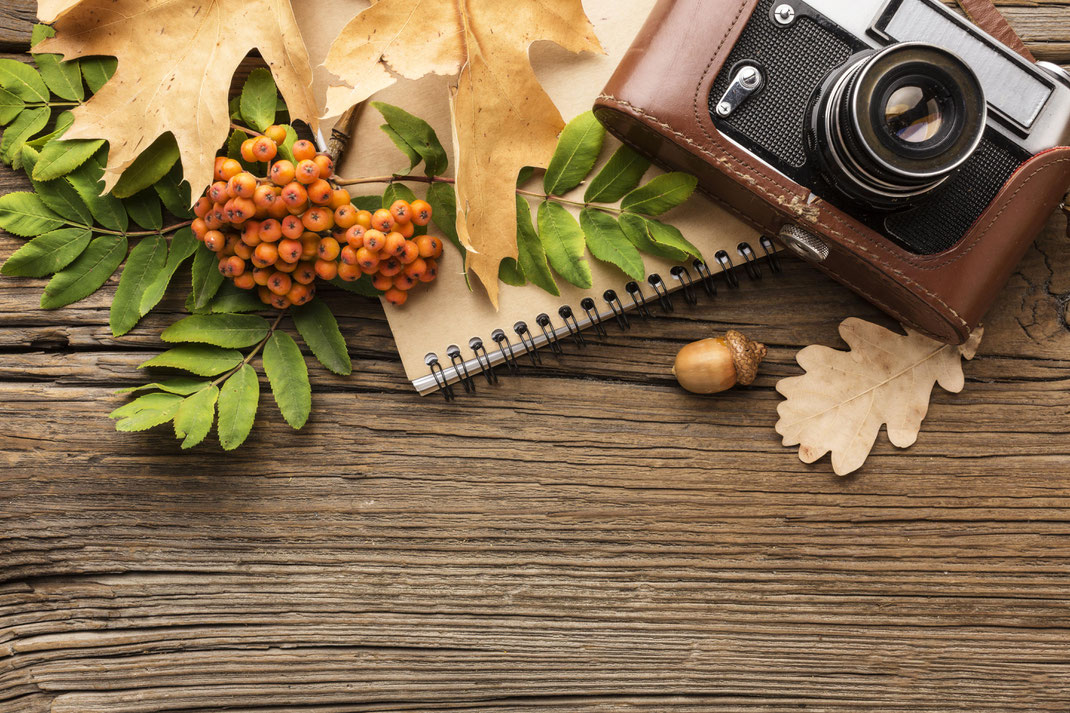 Kamera, Notizbuch, Eicheln, Herbstblätter und leuchtende Beerenzweige dekorativ arrangiert auf Holzuntergrund – herbstliche Stimmung und Reiselust.
