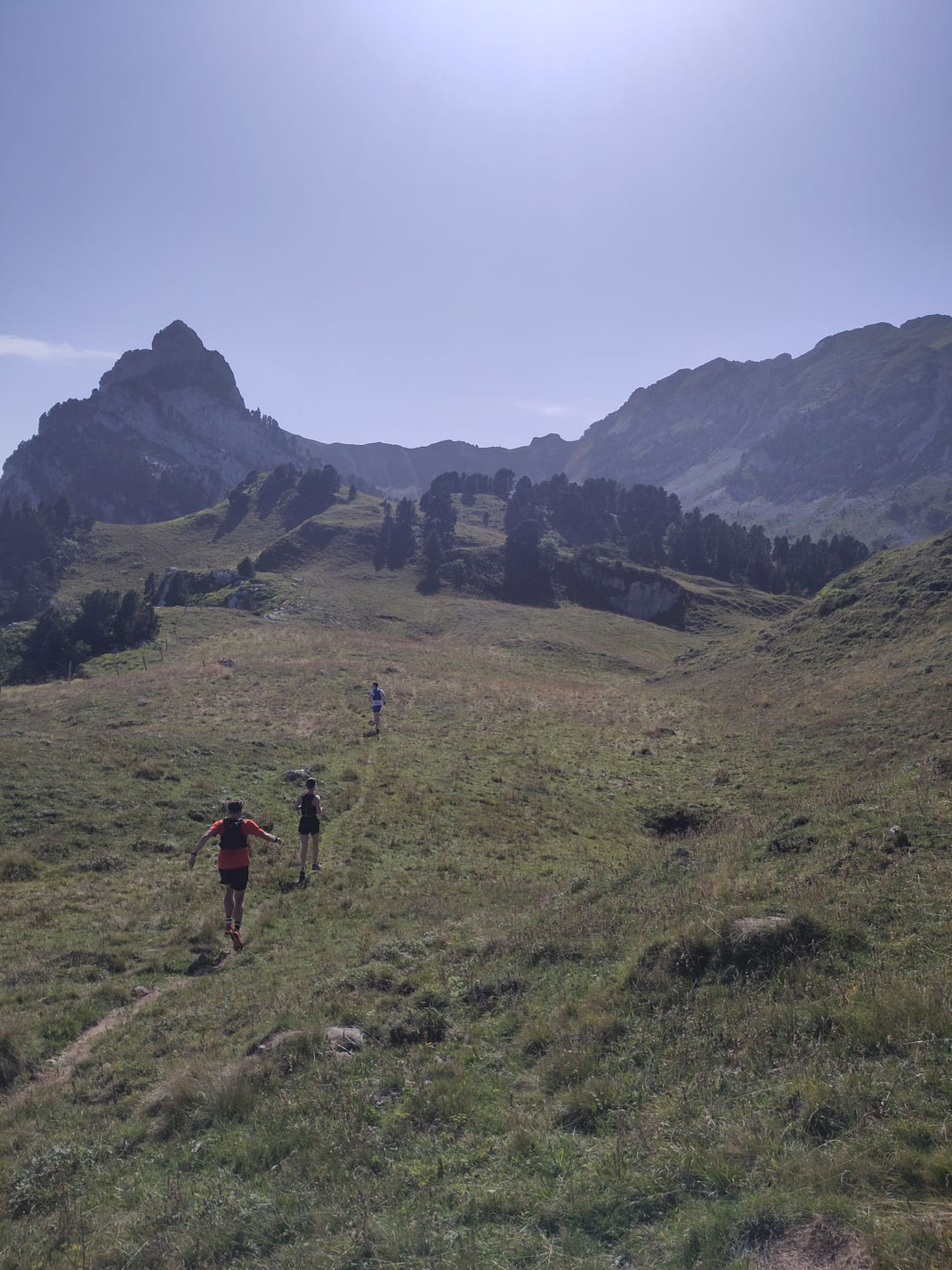 Hardloopcoaching. Marathontraining. Trailrun reisbestemming. Trailrun vakanties. Trailrunning Chartreuse