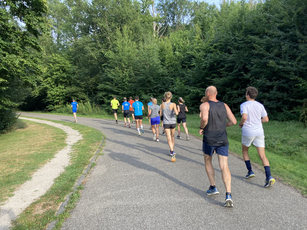 Loopgroep Wageningen. Intervaltraining Wageningen. Hardlooptraining Wageningen. Trainingsschema Wageningen. Hardloopcoach. Running class wageningen.