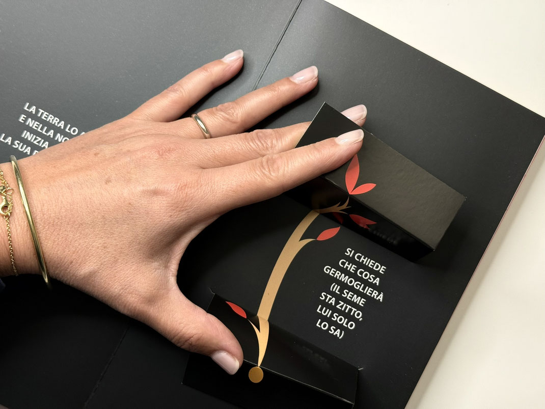 Pagina con alette da sollevare del libro Solo il seme lo sa, di Silvia Vecchini e Agnese Baruzzi