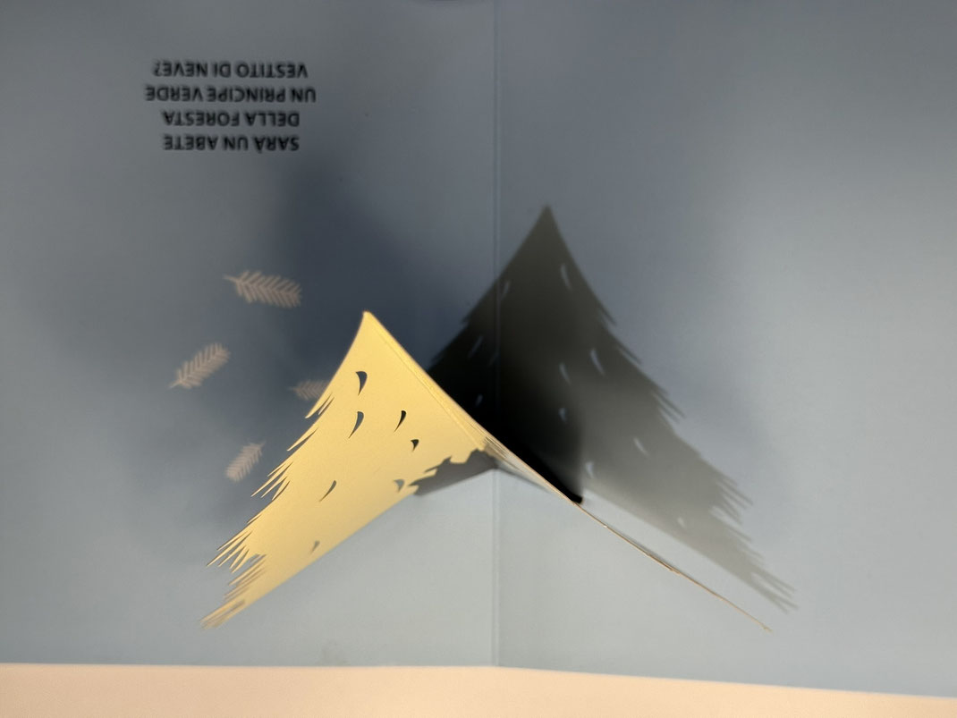 Illustrazione con giochi di luce e ombra dal libro pop-up per bambini Solo il seme lo sa