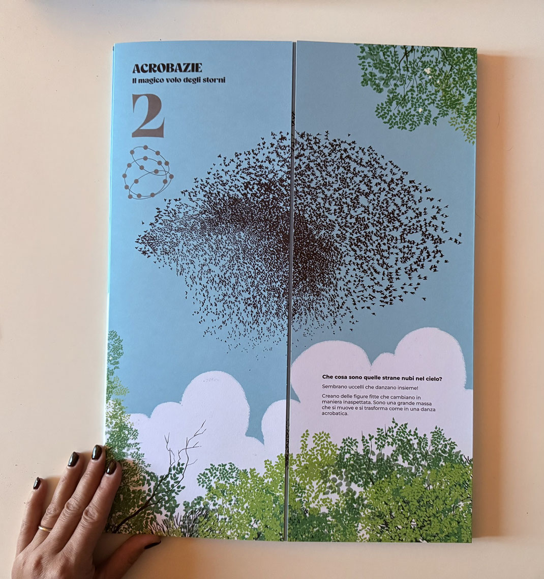 Libro aperto di Coreografie animali di Núria Solsona