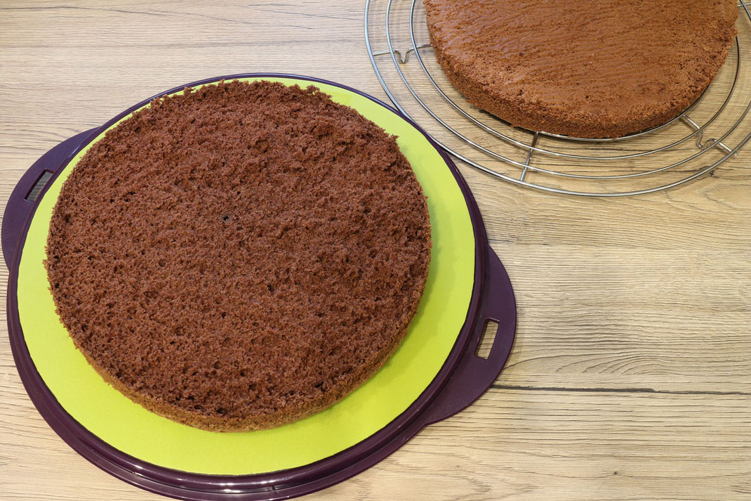 chocolate sponge cake