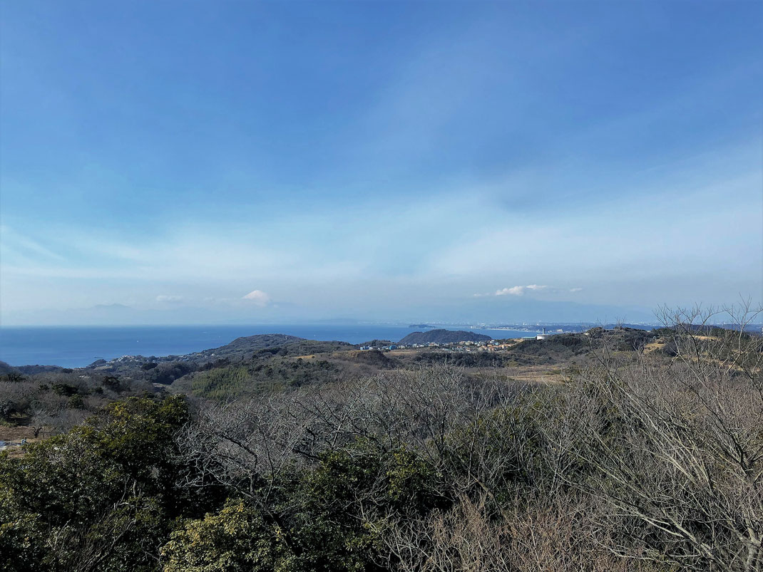 大パノラマが広がる 大楠山頂上