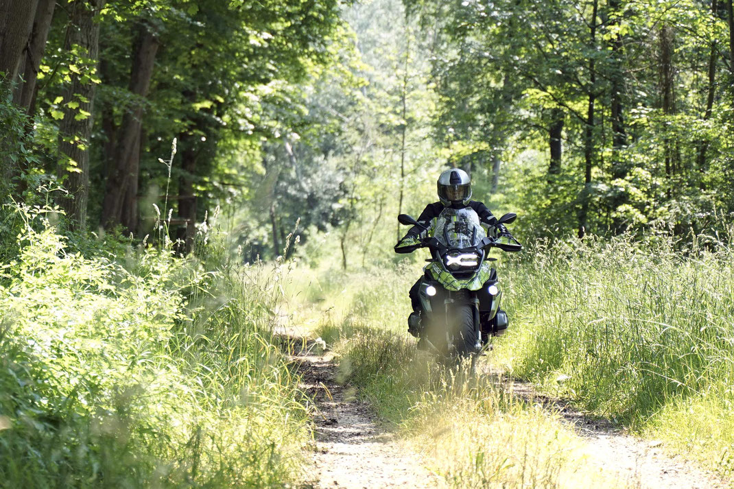 Kein Airbrush, kein Dekorsatz: individuelles Design gezeichnet und gedruckt auf Folie, Spezialist für Motorradfolierung insbesondere BMW GS GS1200 R1200GS R1300GS GS1300 R1250GS Adventure