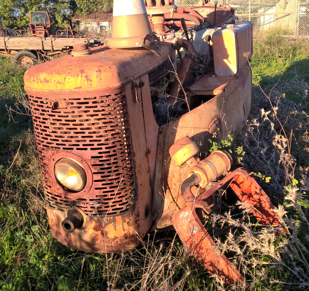 Tracteur Continental Site de tracteurdevigneii