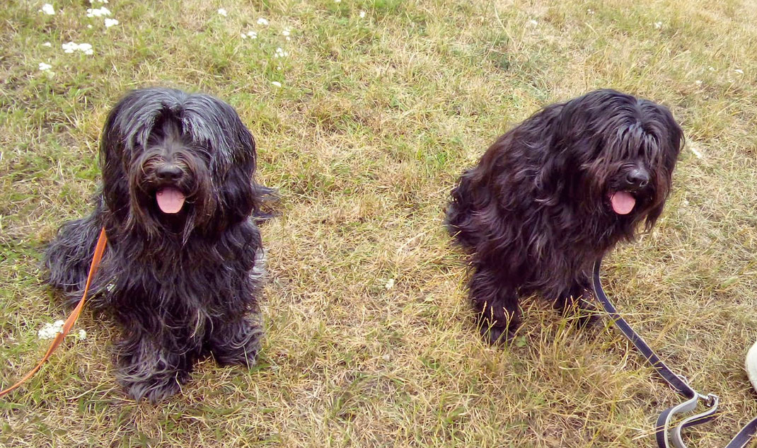 Beau & Fritz Faustus