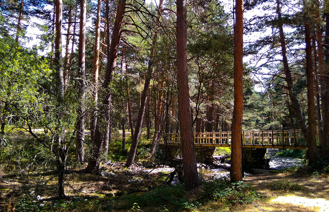 Camino Pesquerías