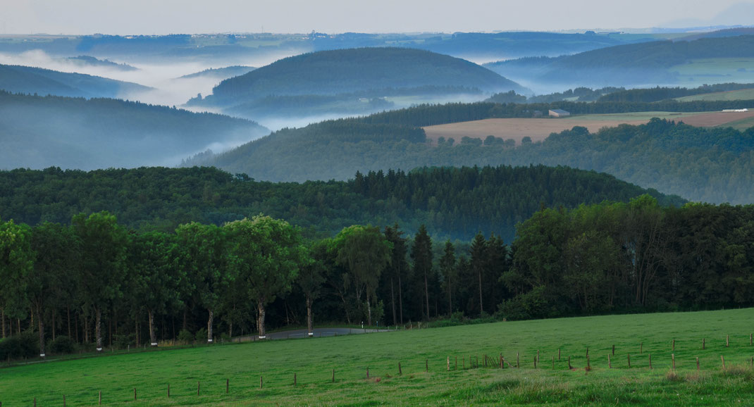 highlands luxembourg ardennes eiffel oesling fog