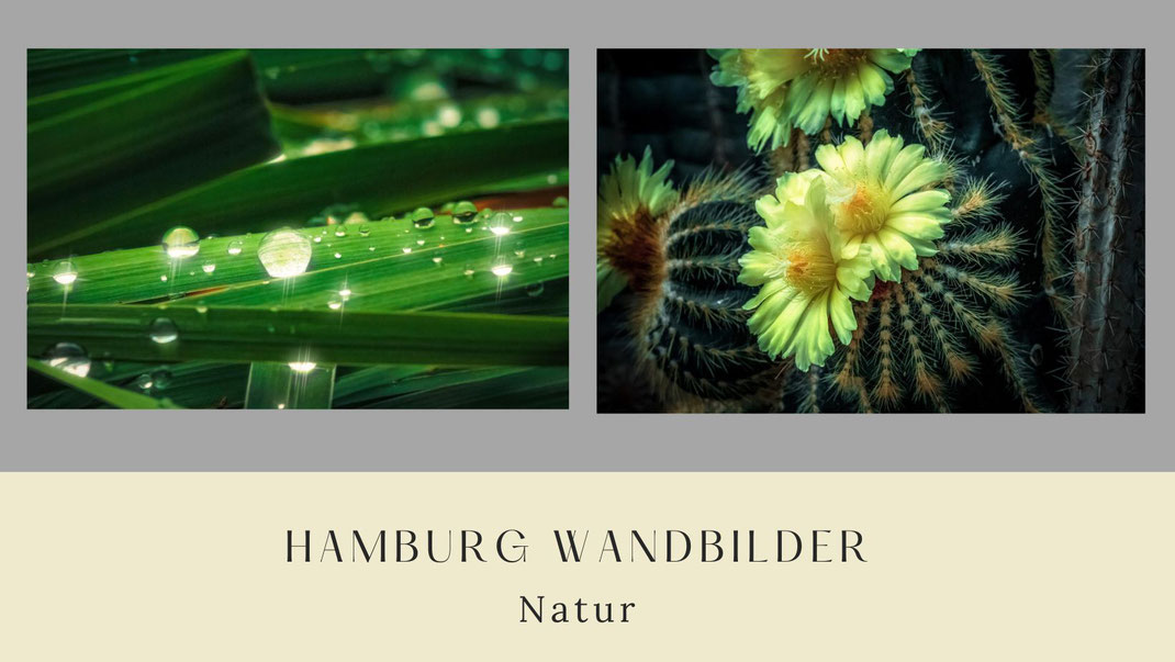 hamburg-wandbilder-natur-rubrik