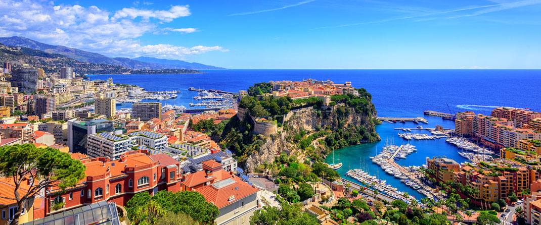 Panorama Monte Carlo