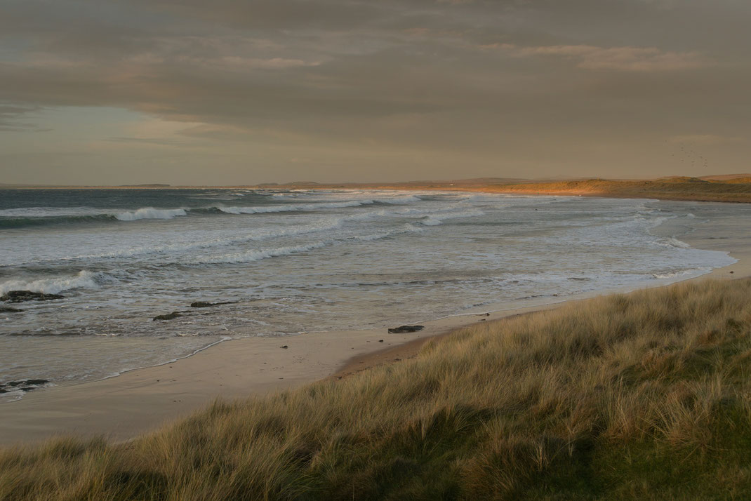 Islay, winter 2021