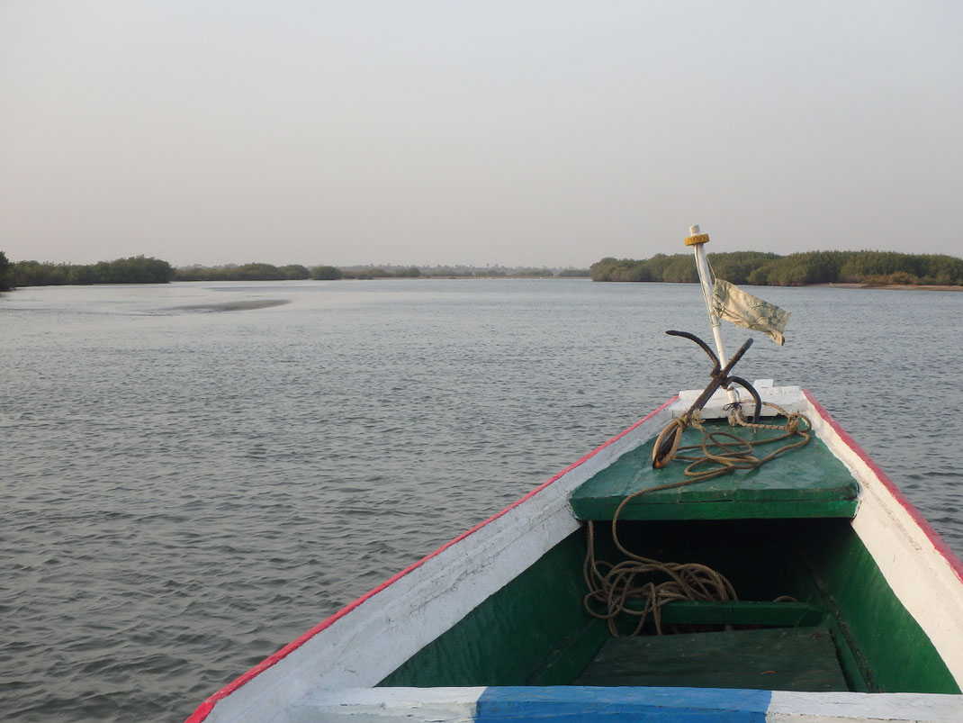 Mar Lodj, boat trip, Sine-Saloum delta
