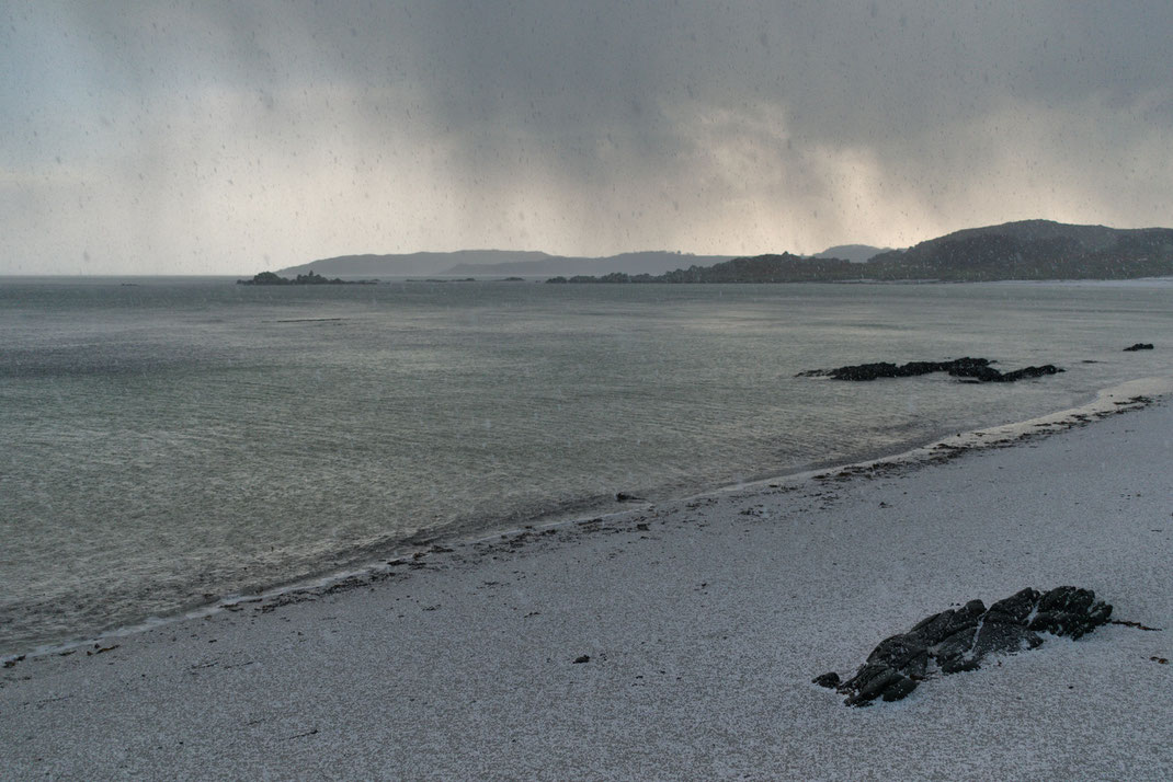 Islay, winter 2021