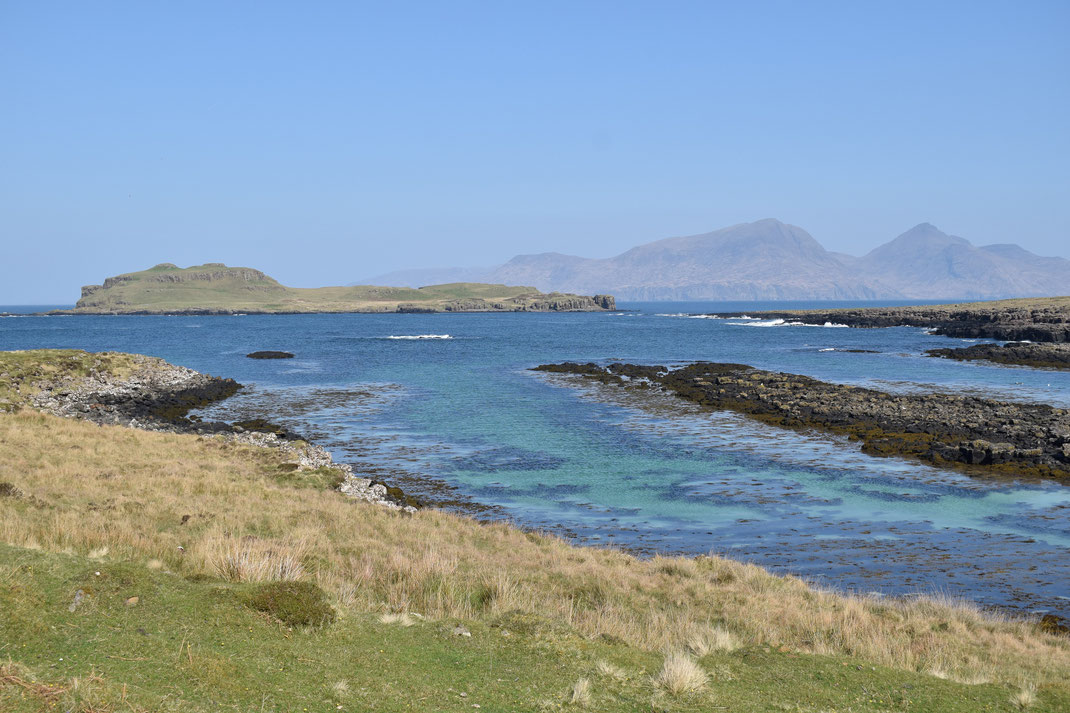 Horse Island, Muck