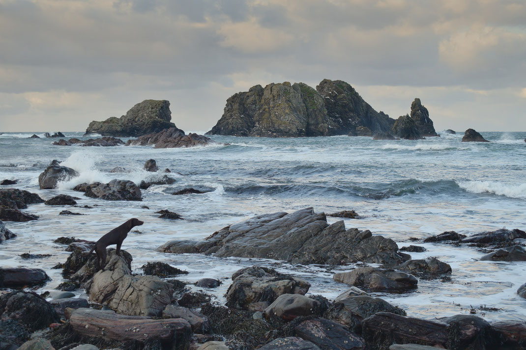 Islay, November 2021