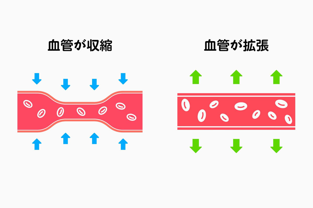 血管トレーニング　イメージ　イラスト　血管収縮　血管拡張　加圧トレーニング