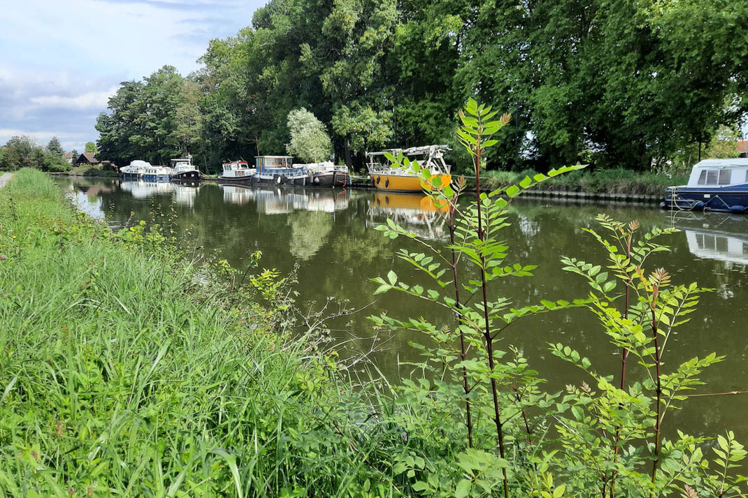 Boote liegen am Rand es Canal du Centre. Einige werden als Freizeitboote genutzt, andere dienen als Hausboote. 