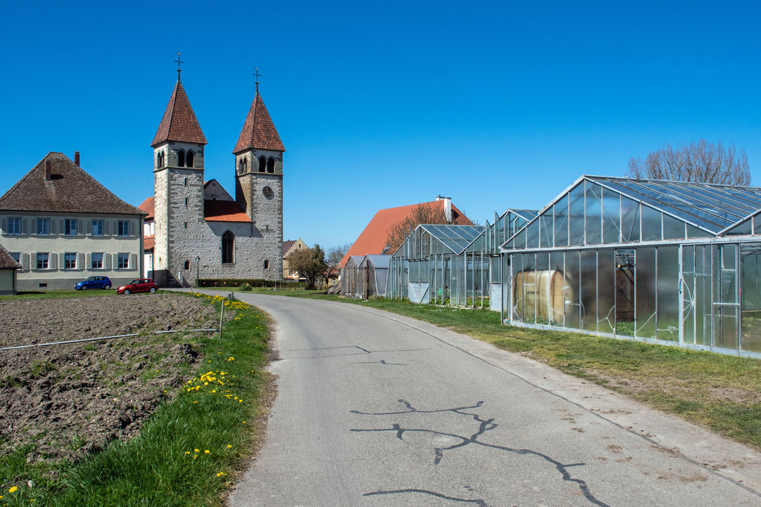 Die Kirche St. Peter und Paul auf der Insel Reichenau. Rechts neben ihr stehen mehrere Gewächshäuser.