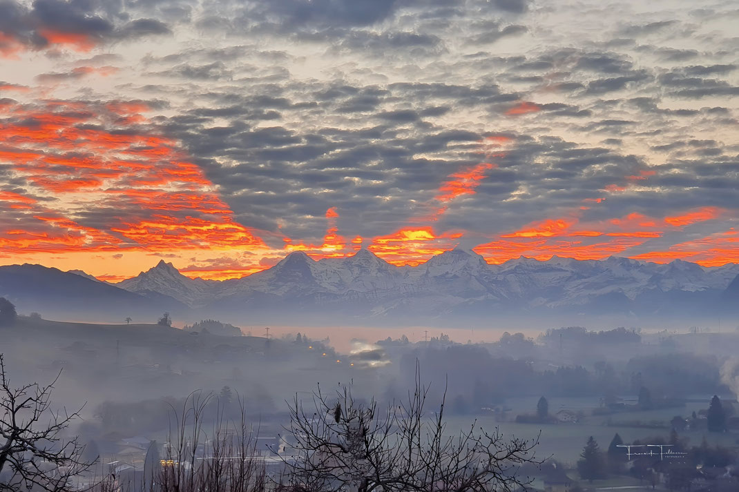 Schreckhorn, Eiger, Mönch, Jungfrau im Morgenroth mit Dorf Wattenwil im Nebel.