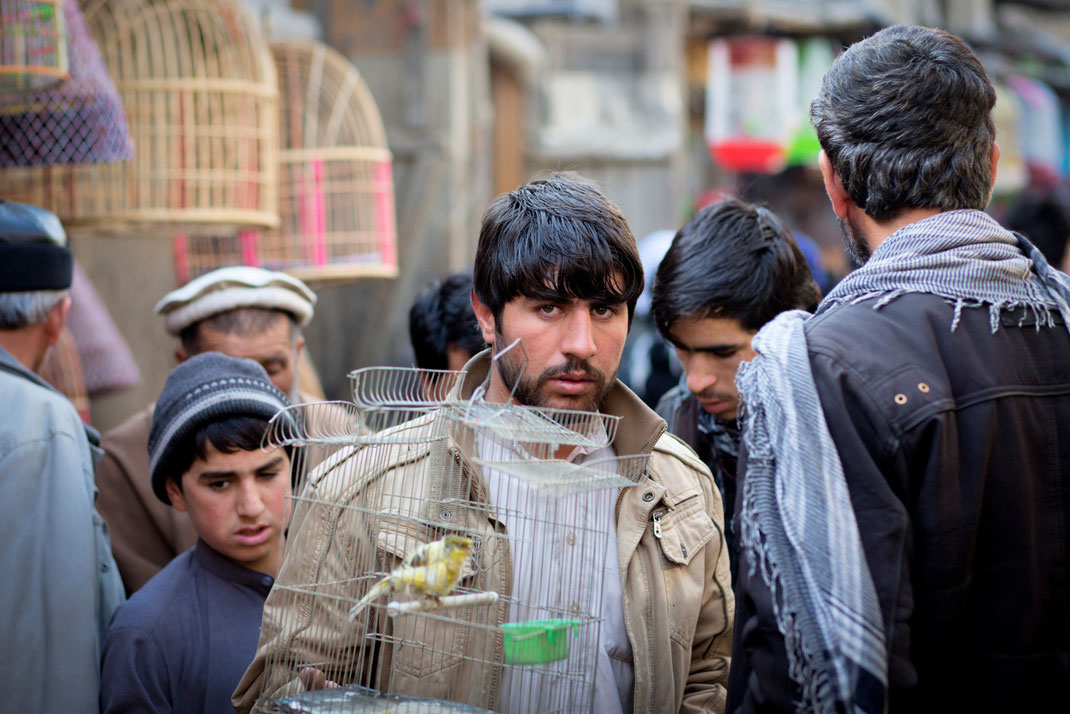 the kabul bird market
