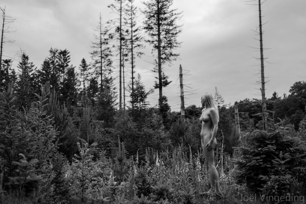 fineart, blackandwhite, nude, nikon, forest