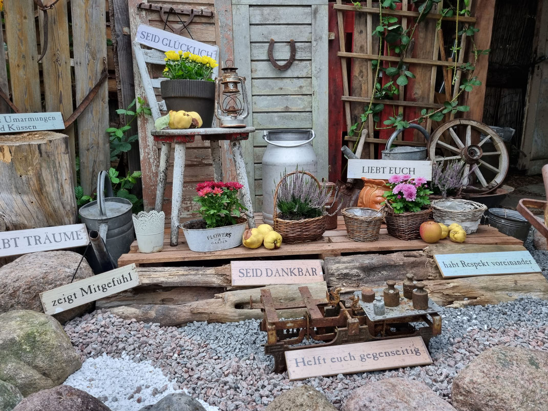Fotospot auf dem Naturimkerhof Zingst