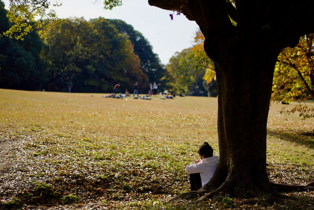木陰で一人静かに問いに向き合うソロ・リフレクションのひととき
