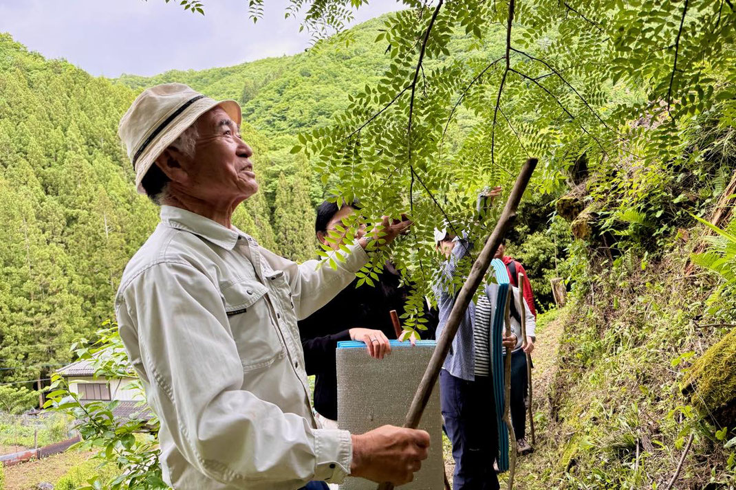 里山の恵