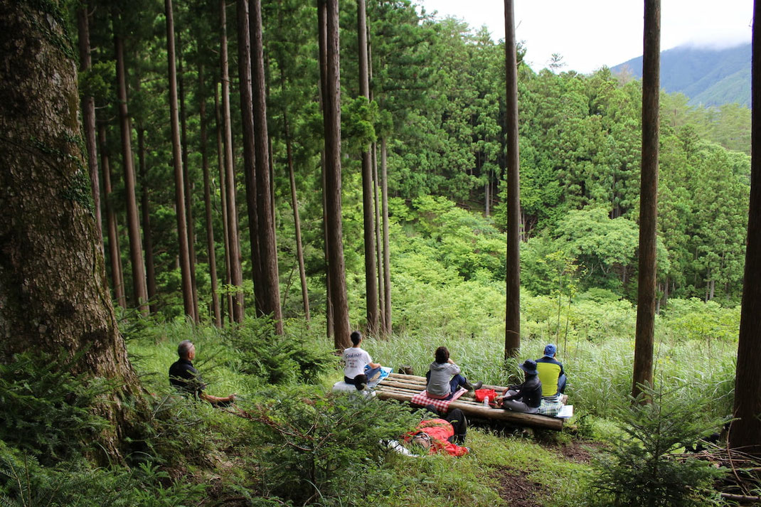 みんなでマザーツリーの下に静かに座る時間ー森の中のマインドフルネス