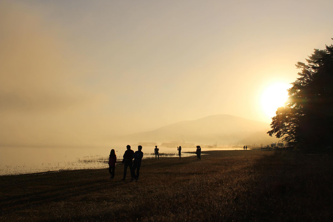 朝の森のひと時。夜明けの特別な瞬間を仲間と体感し、非言語の対話を重ねる内省と対話のプログラム-よる森。