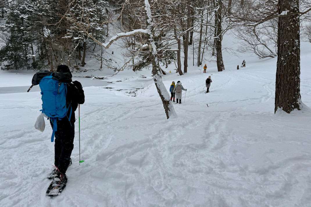 スノーシューで、雪の森を一列で進む参加者たち。各々の様子に気を配りながら進む様子。
