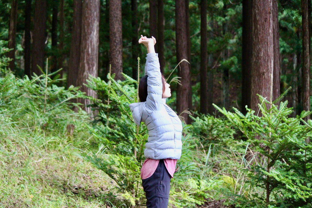 森の中で自分を感じる一人時間