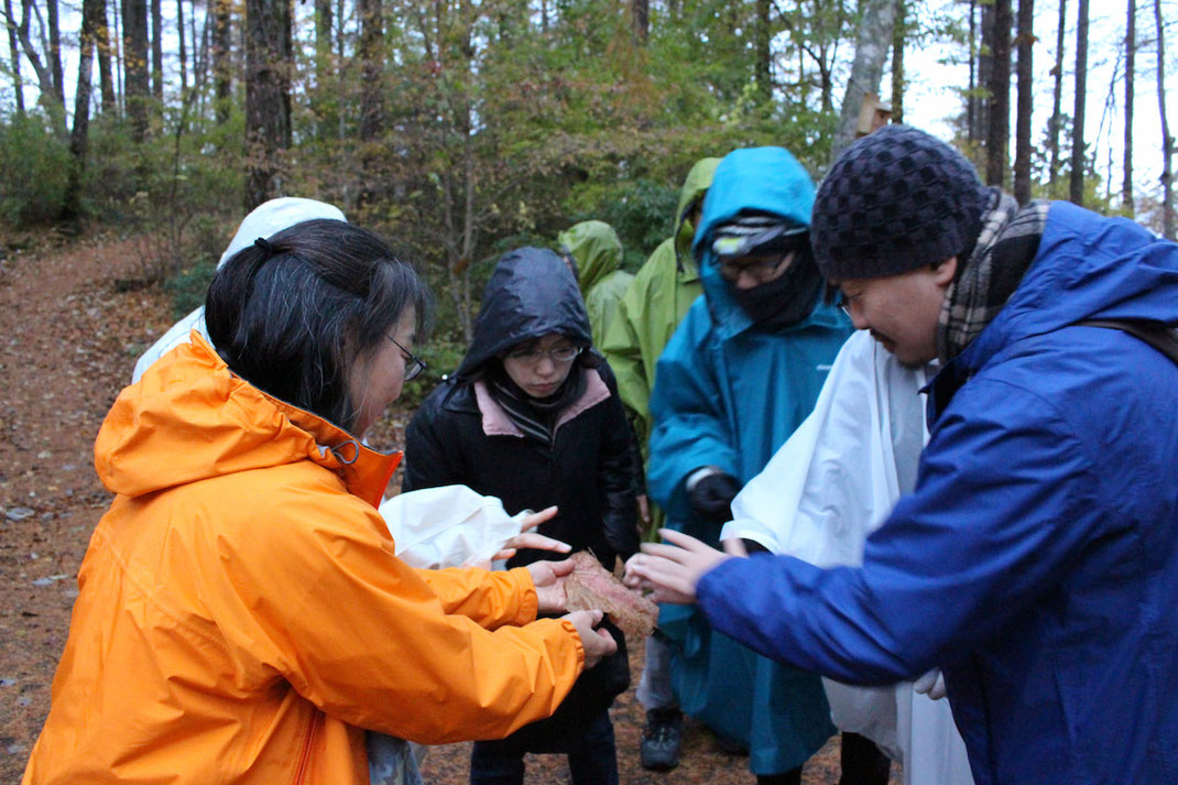 落ち葉に触れ違いを感じる ― 内省と対話で感覚を見つめ、相互理解を深める体験