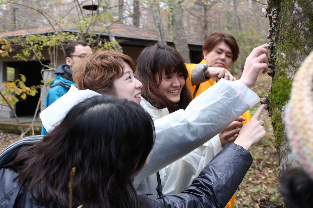 木肌の質感を手で感じる ― 自然体験で感性を磨くよる森プログラム
