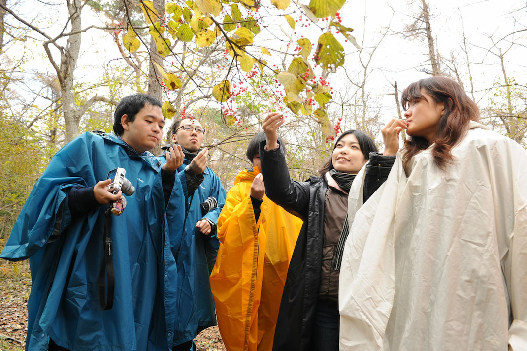 仲間と木の実を味わう時間 ― 五感研修と自然体験で感覚を磨く