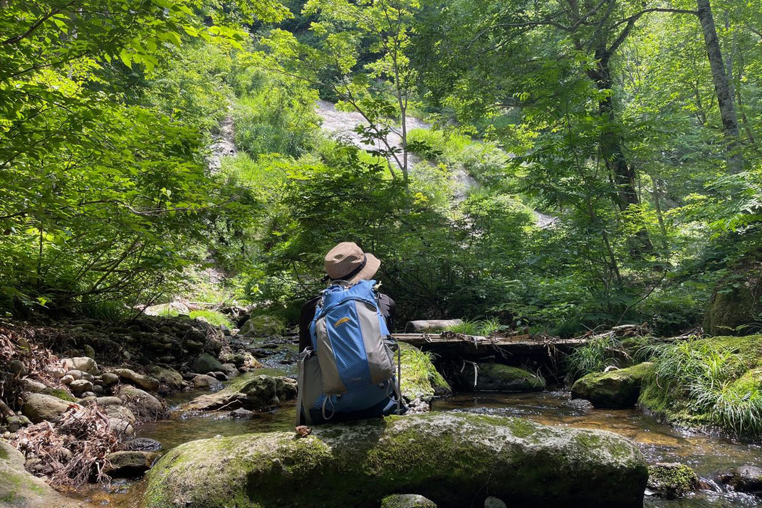 solo reflection by a forest stream — opening the senses to feel nature, self, and companions (YORUMORI Personal Program)